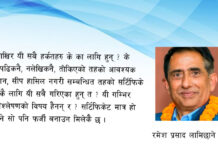 एसईई तामझामः दौरा न सौराको खल्ती