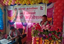 बागमतीको बजेट ७० करोड बढी, बहुमतले बजेट पारित