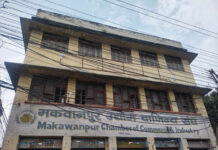 मउवासंघमा ८ सय सदस्य घट्यो, सबै पदमा प्रत्यक्ष निर्वाचन हुँदै