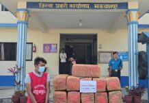 काभ्रेका वाग्ले गाँजासहित हेटौँडाबाट पक्राउ