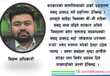 सरकारको बढ्दो निरंकुशता र विकल्पको खोजी