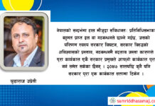 अबको विषय प्रत्यक्ष निर्वाचित कार्यकारी प्रमुख