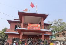 नेकपा एमालेको महाधिवेशन प्रतिनिधि, १७ प्रतिनिधिका लागि ८१ जना उम्मेदवार