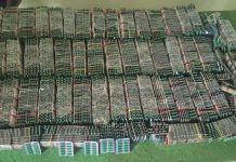 लागु औषध ट्रामाडोलसहित हेटौंडाका सोनम मोक्तान पक्राउ