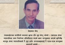 लोकतन्त्रअघिको पत्रकारिता (इतिहास)