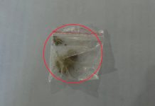 लागूऔषध खैरोहेरोइनसहित पदमपोखरीका रामबहादुर पक्राउ