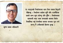 “यो कत्रो साहस, राज्यका सुरक्षा संयन्त्रमाथि उपहास”