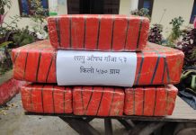 लागूऔषध गाँजासहित राक्सिराङका ७ जना मनहरीबाट पक्राउ