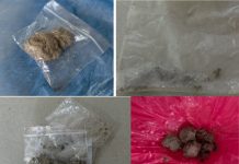 लागूऔषध खैरो हेरोइनसहित शनिबार हेटौँडाबाट ६ जना पक्राउ