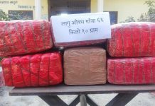 लागूऔषध गाँजासहित तीन जना पक्राउ