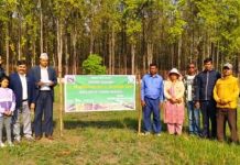 वनस्पति उद्यान परिसरमा नक्षत्र बाटिका स्थापना