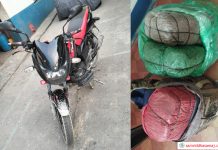 लागूऔषध गाँजासहित भट्टेडाँडामा भीमफेदीकी सुन्तली पक्राउ