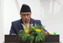 हेटौँडामा २.५ मेगावाटको ग्रीन हाइड्रोजन प्लान्ट स्थापना गरिने