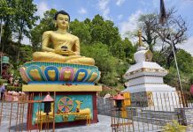 आज बुद्ध जयन्ती